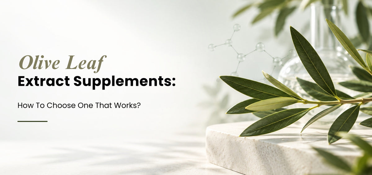 Olive Leaf Extract Supplements: How to Choose One That Works