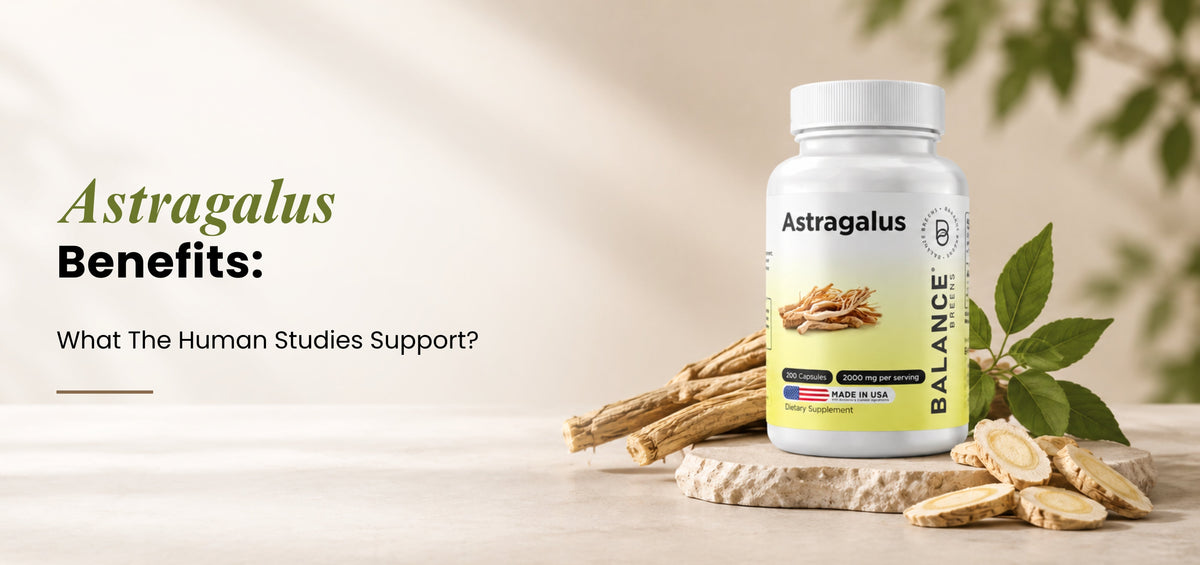 Astragalus Benefits: What the Human Studies Support