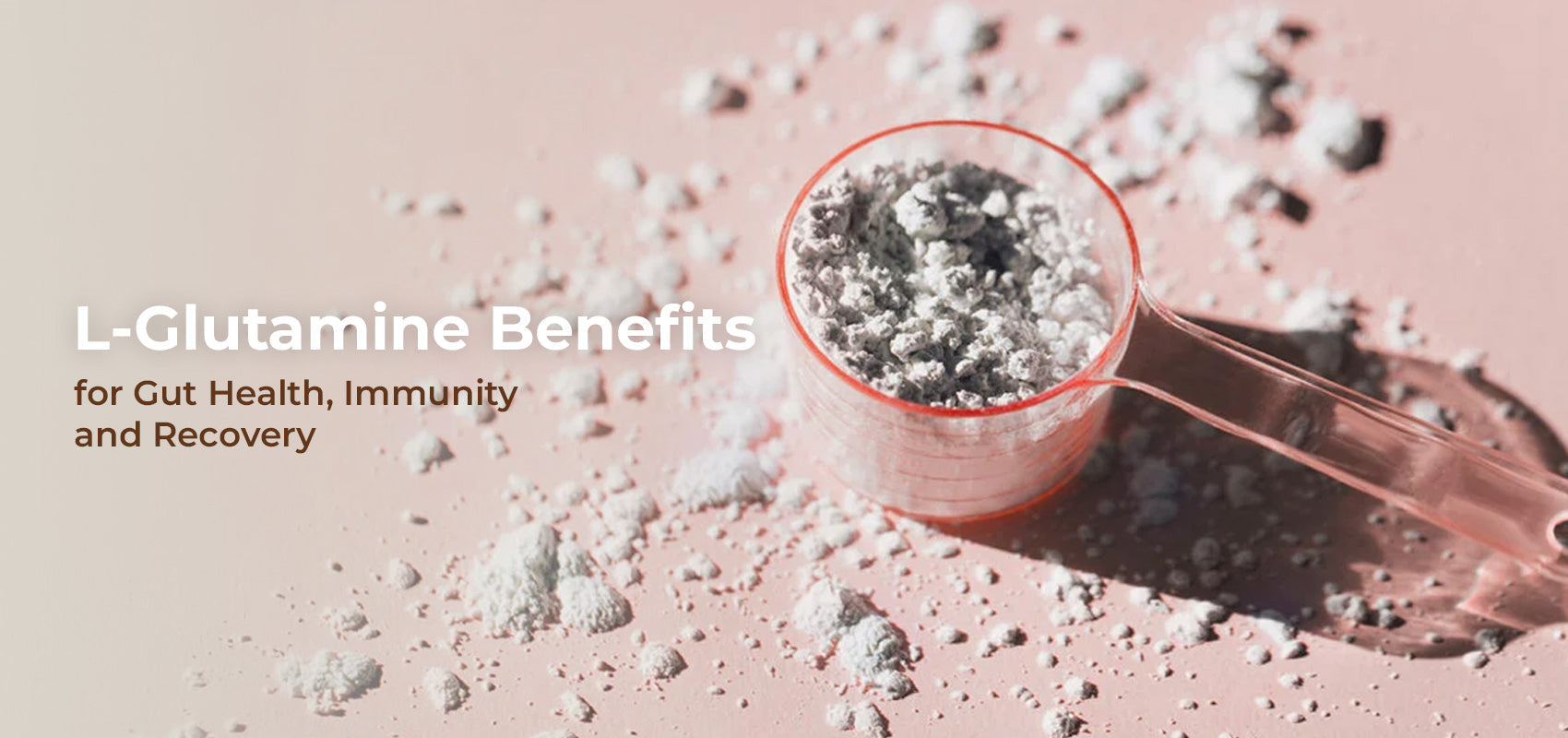 L-Glutamine Benefits for Gut Health, Immunity and Recovery
