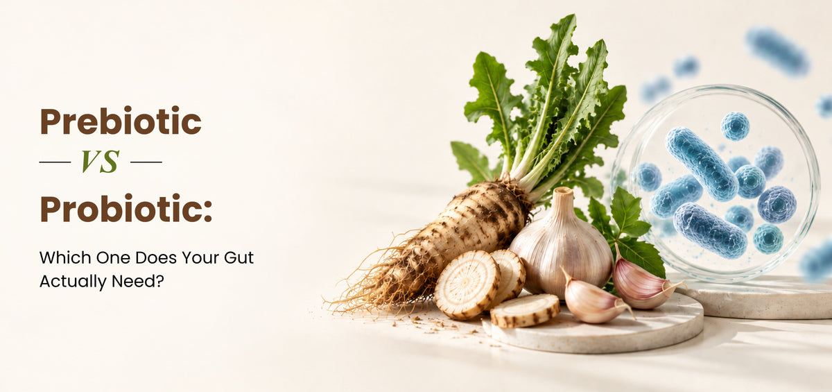 Prebiotic vs Probiotic: Which One Does Your Gut Actually Need?