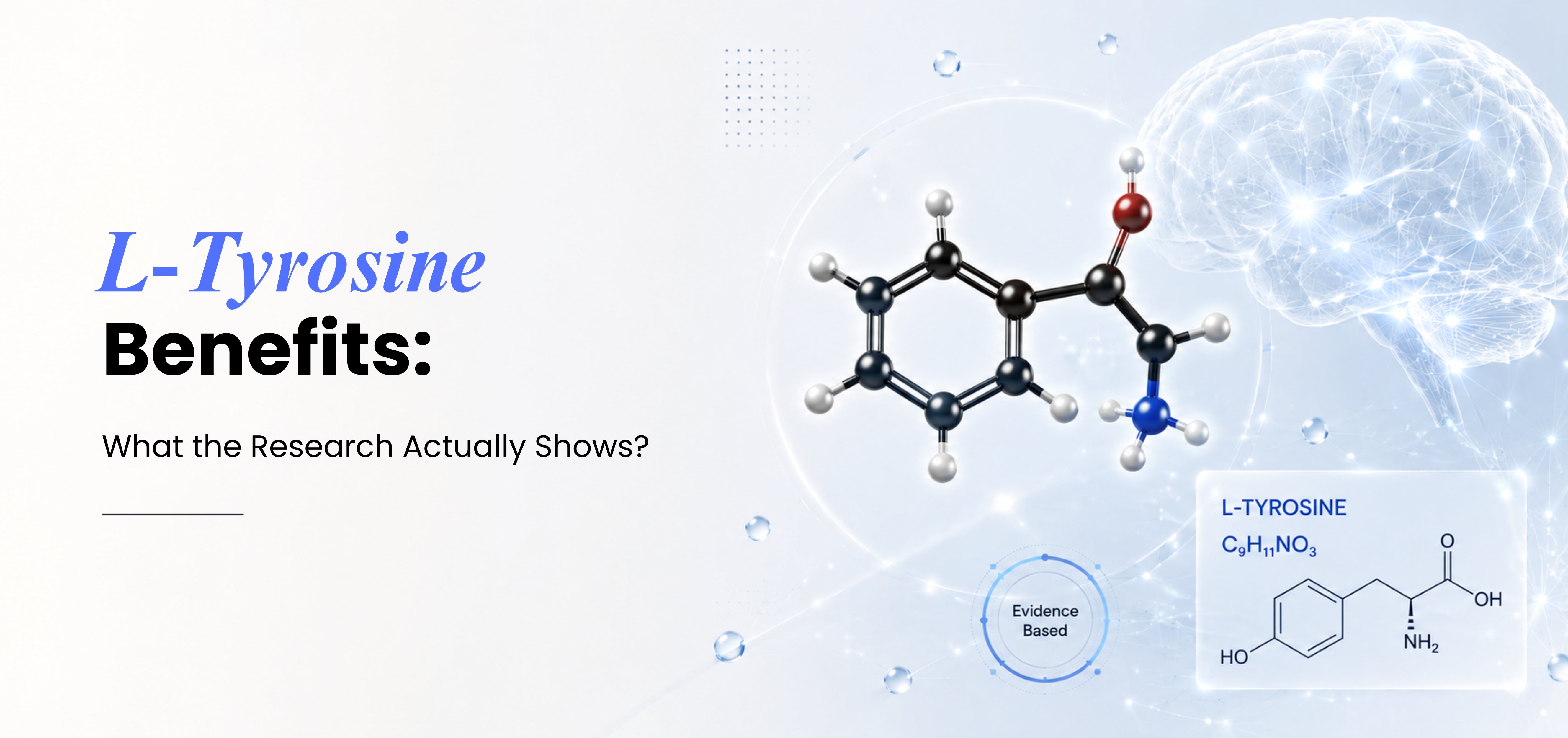 L-Tyrosine Benefits: What the Research Actually Shows