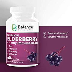 4 Way Immune Support with Elderberry, Vitamin C, Zinc, Echinacea - Powerful Antioxidant - 60 Capsules