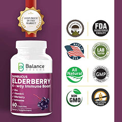 4 Way Immune Support with Elderberry, Vitamin C, Zinc, Echinacea - Powerful Antioxidant - 60 Capsules