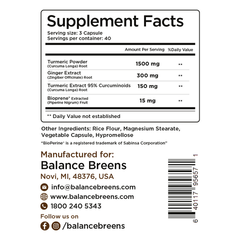 Turmeric Curcumin Ginger with Bioperine ©, 1950mg, 120 Veggie Capsules