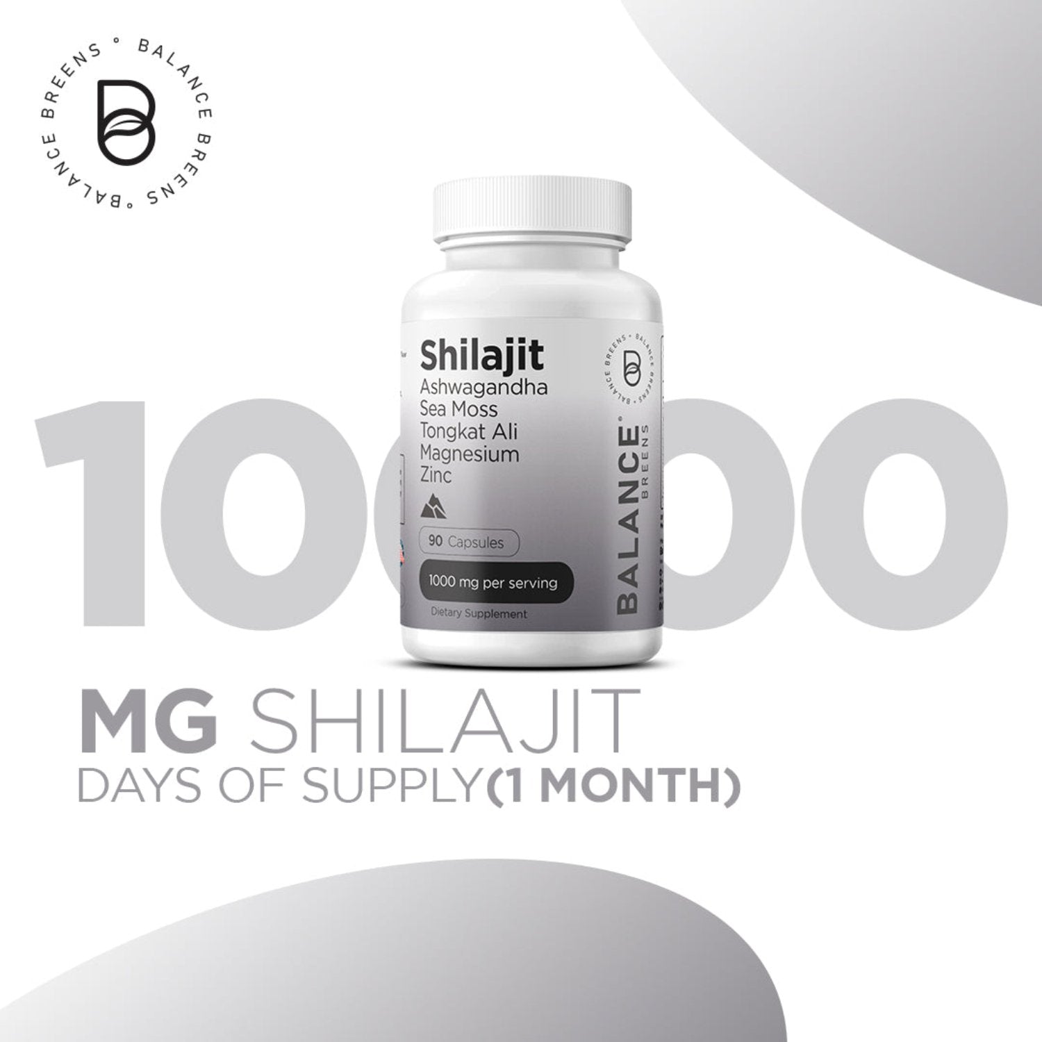 Himalayan Shilajit 10000mg, 90 Capsules