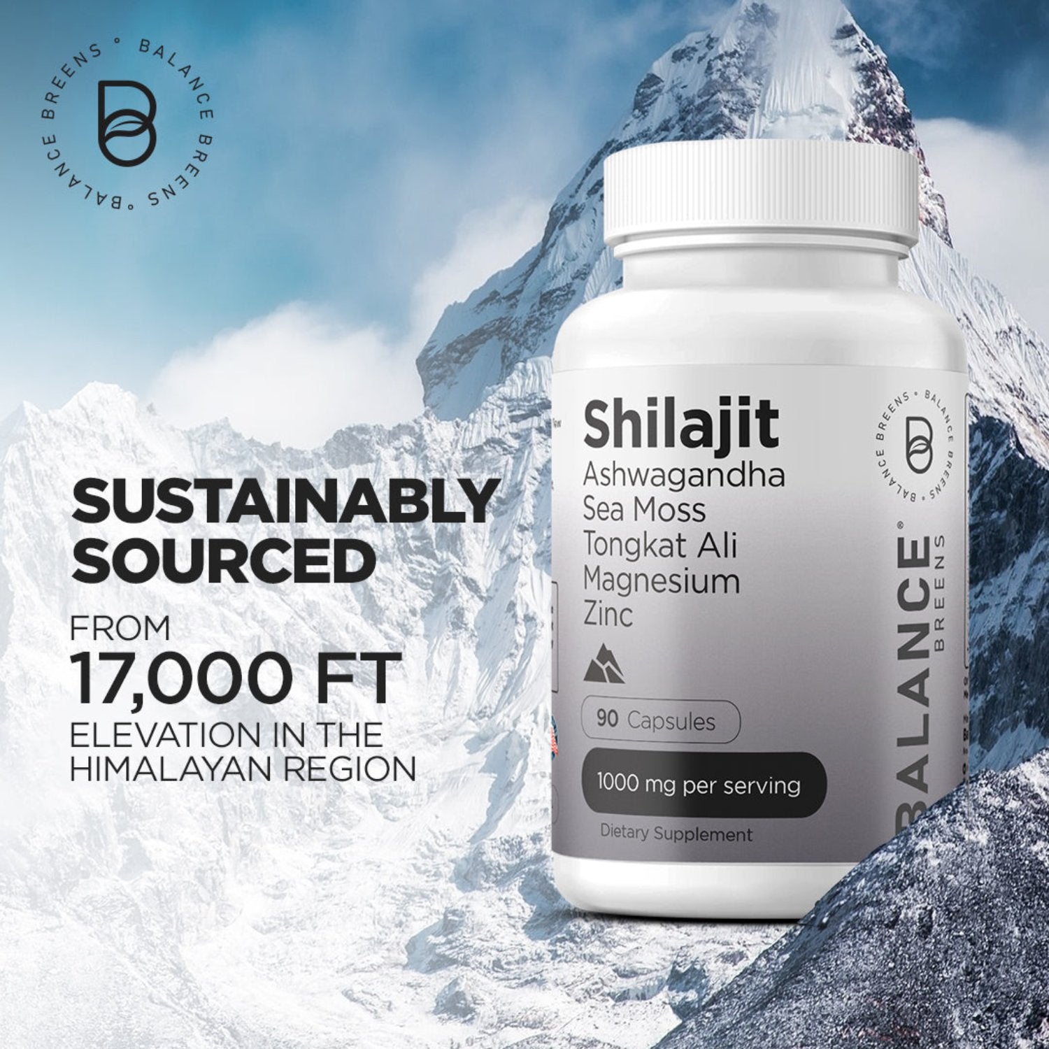 Himalayan Shilajit 10000mg, 90 Capsules
