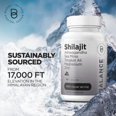 Pure Himalayan Shilajit Capsules, 10:1 Extract, Extra Strength 10000mg, 90 Capsules - 85+ Minerals - Energy, Stamina, Brain Support - Shilajit Supplement for Men and Women